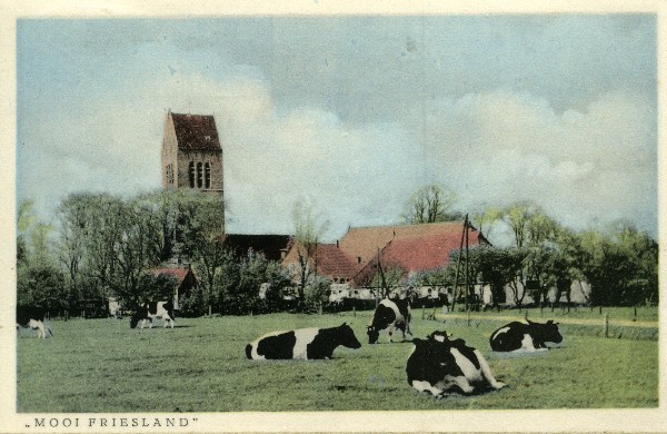 Fries landschap met kerktoren en koeien 