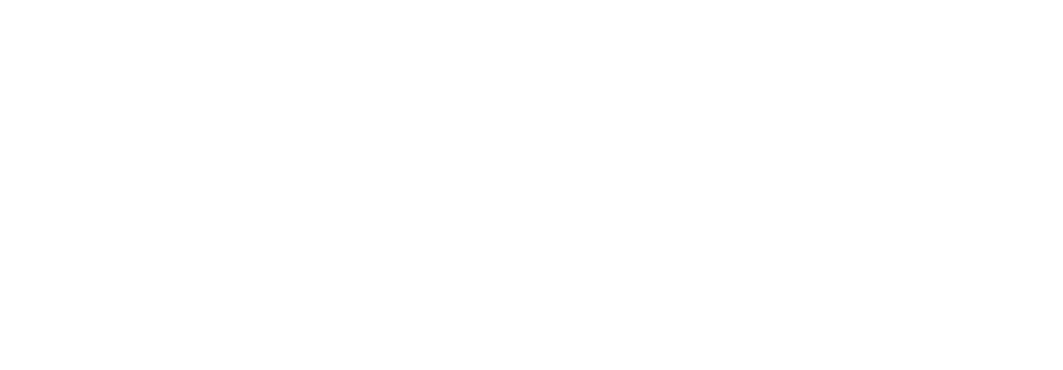 Logo Noor