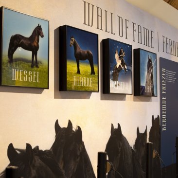 Wall of fame met beroemde Friese paarden