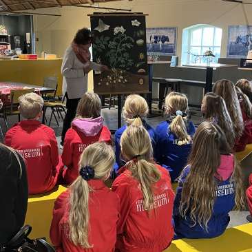 Uitleg aardappelposter door een vrijwilligster aan kinderen voor de educatieles