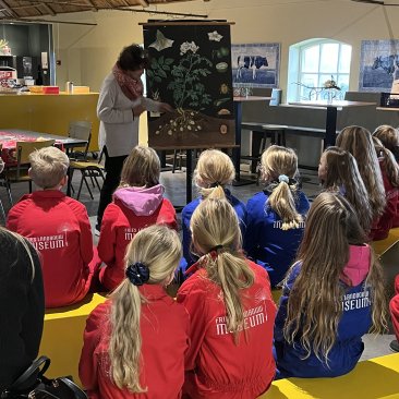 Uitleg aardappelposter door een vrijwilligster aan kinderen voor de educatieles
