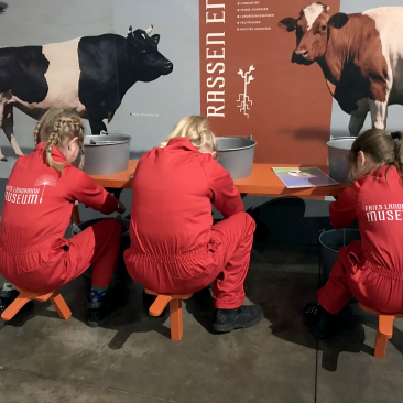 Drie meisjes aan het melken door middel van spenen op emmers