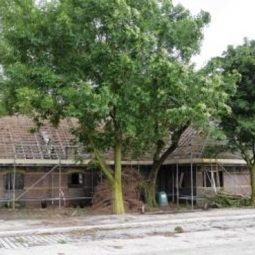 Noordkant van de kale stal