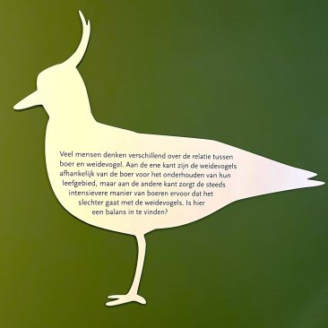 Uitsnede van een weidevogel op een groene achtergrond met erin de tekst 'Veel mensen denken verschillend over de relatie tussen boer en weidevogel. Aan de ene kant zijn de weidevogels afhankelijk van de boer voor het onderhouden van hun leefgebied, maar aan de andere kant zorgt de steeds intensievere manier van boeren ervoor dat het slechter gaat met de weidevogels. Is hier een balans in te vinden?'