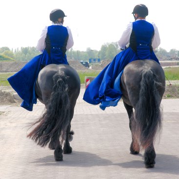 Twee amazones van dameszadelclub Fleurop op Friese paarden, foto door Sytze Herder