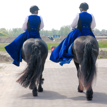 Twee amazones van dameszadelclub Fleurop op Friese paarden, foto door Sytze Herder