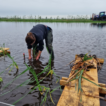 Persoon aan het werk aan de waterkant