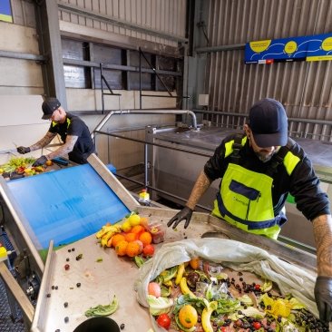 Drie personen sorteren voedsel op een loopband