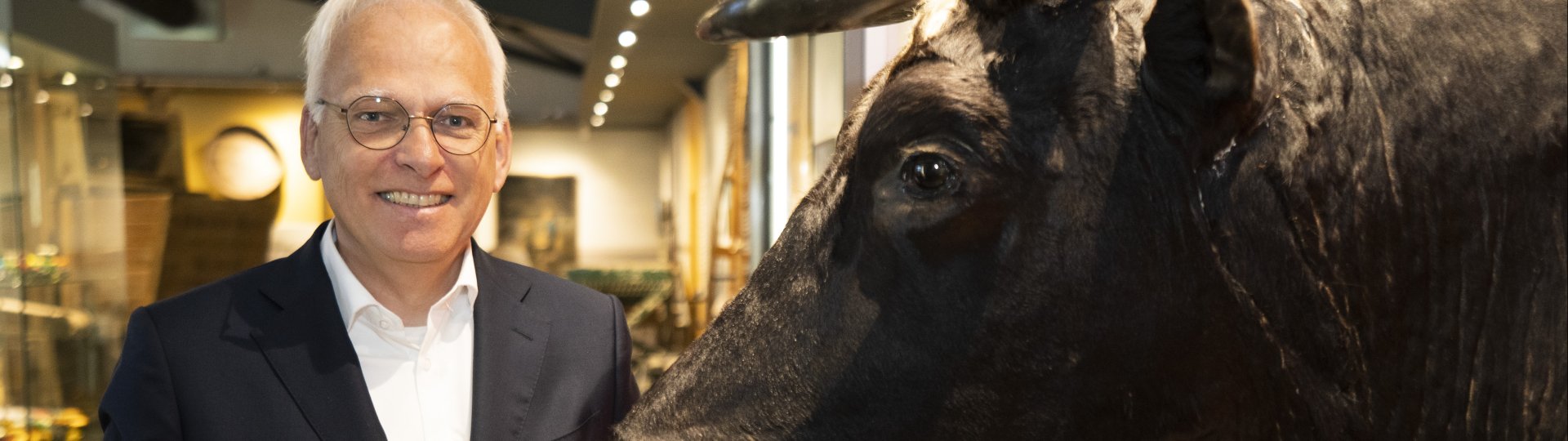 Minister Adema bij stier Adema 197