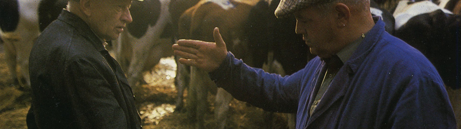 Handjeklap op de veemarkt met koeien op de achtergrond