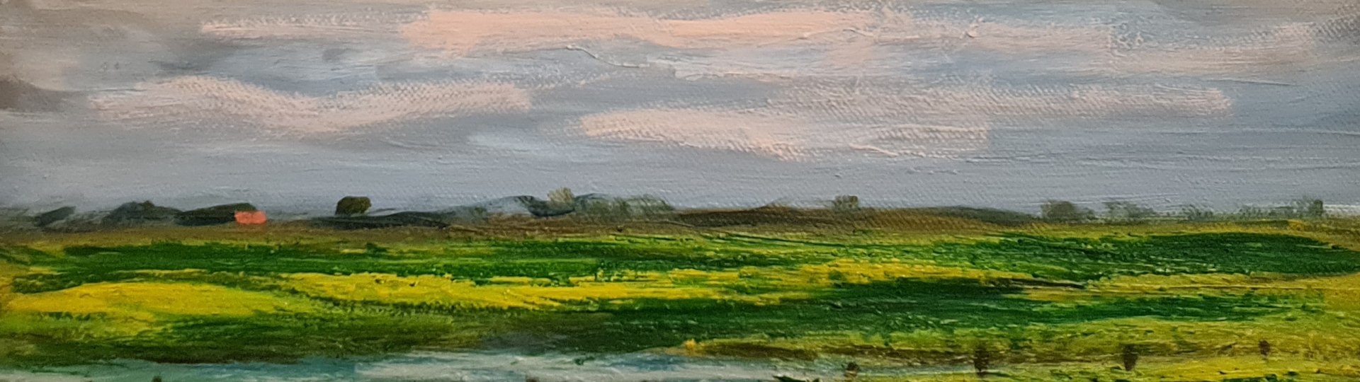 Schilderij van het Fries landschap van Wim van der Veer