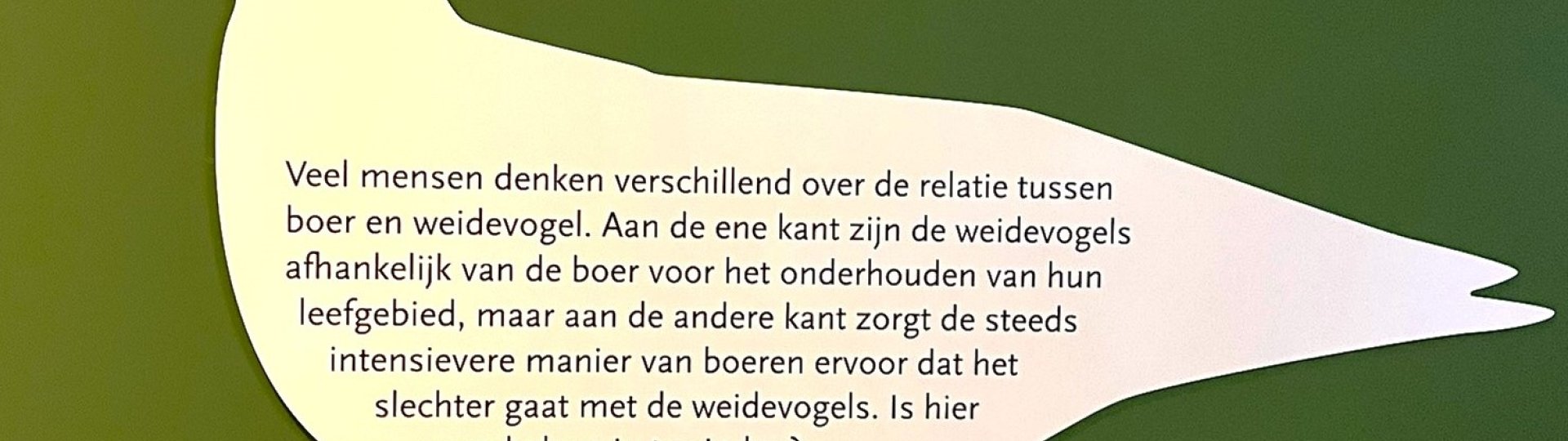 Uitsnede van een weidevogel op een groene achtergrond met erin de tekst 'Veel mensen denken verschillend over de relatie tussen boer en weidevogel. Aan de ene kant zijn de weidevogels afhankelijk van de boer voor het onderhouden van hun leefgebied, maar aan de andere kant zorgt de steeds intensievere manier van boeren ervoor dat het slechter gaat met de weidevogels. Is hier een balans in te vinden?'