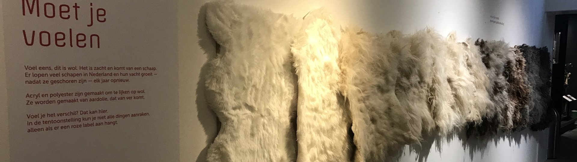 Wand in het Fries Landbouwmuseum bij de expositie '100% Wol' met zowel synthetische- als echte schapenhuiden met de tekst 'Moet je voelen' 