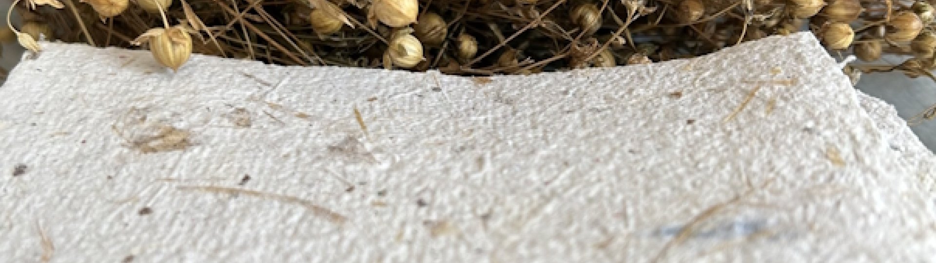 Handgeschept papier met op de achtergrond vlas