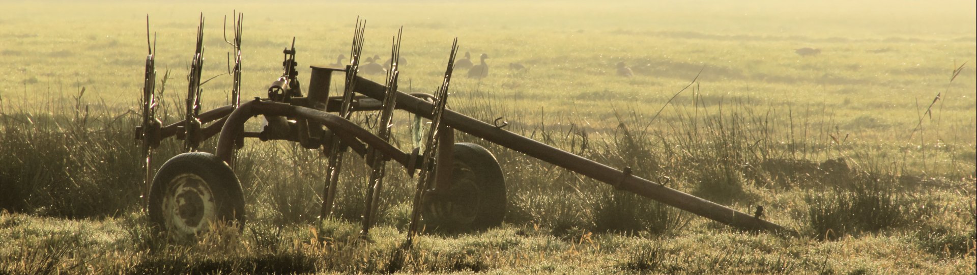Landbouwwerktuig in een weiland, foto door Sytze Herder