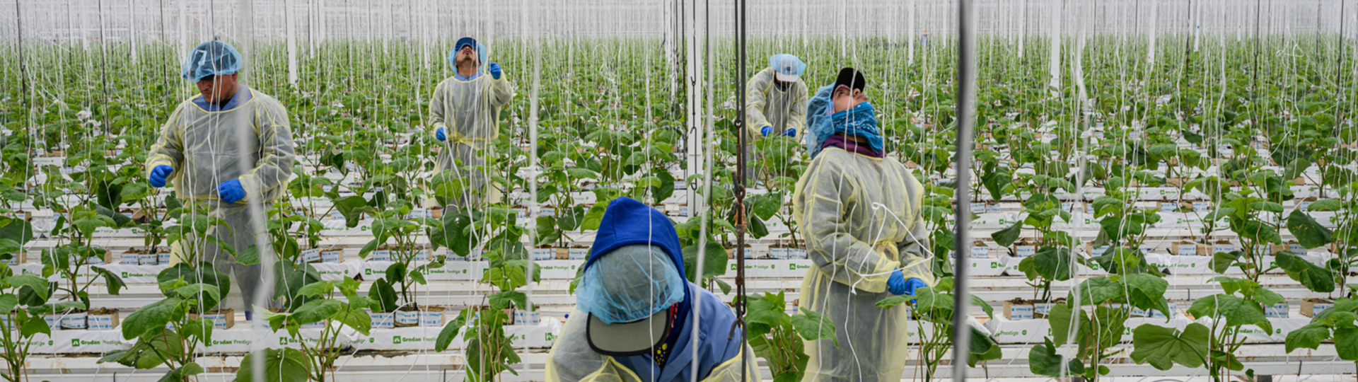 Foto van Kadir van Lohuizen voor Food for Thought