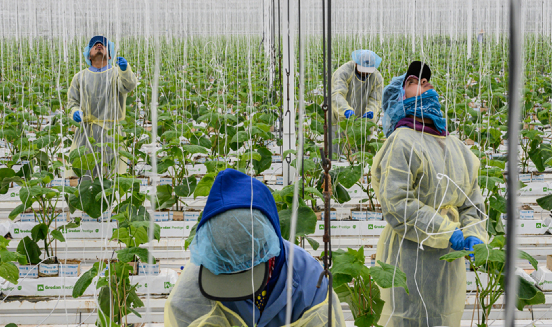 Foto van Kadir van Lohuizen voor Food for Thought
