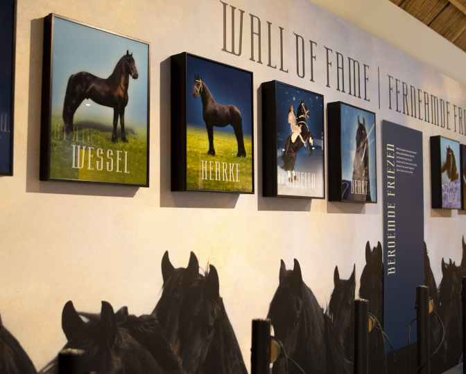 Wall of fame met beroemde Friese paarden
