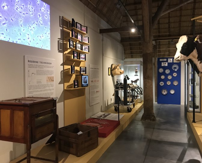 Deel van de expositie met stukken van het Nationaal Veeteeltmuseum