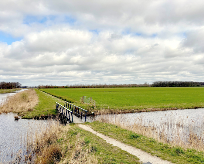 Foto van het Fries Veenweidegebied