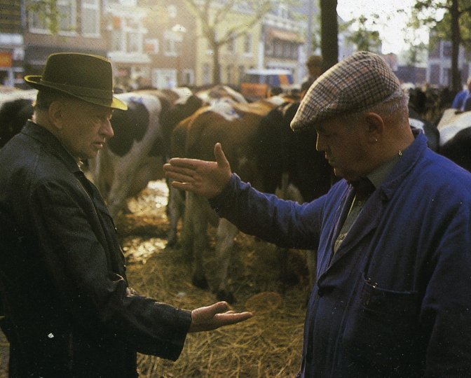 Handjeklap op de veemarkt met koeien op de achtergrond
