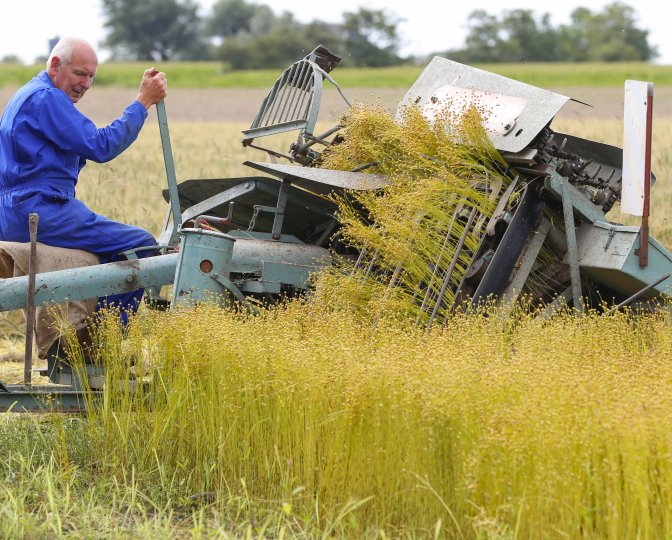Vlastrekmachine in actie