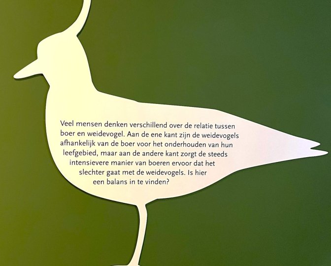 Uitsnede van een weidevogel op een groene achtergrond met erin de tekst 'Veel mensen denken verschillend over de relatie tussen boer en weidevogel. Aan de ene kant zijn de weidevogels afhankelijk van de boer voor het onderhouden van hun leefgebied, maar aan de andere kant zorgt de steeds intensievere manier van boeren ervoor dat het slechter gaat met de weidevogels. Is hier een balans in te vinden?'