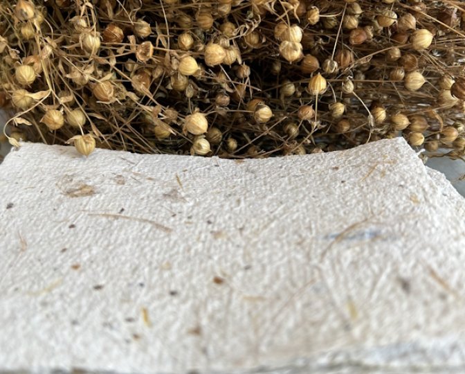 Handgeschept papier met op de achtergrond vlas