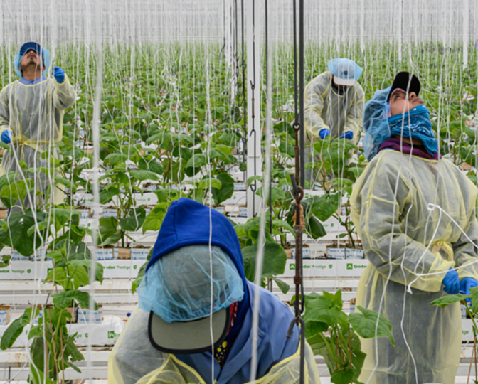 Foto van Kadir van Lohuizen voor Food for Thought