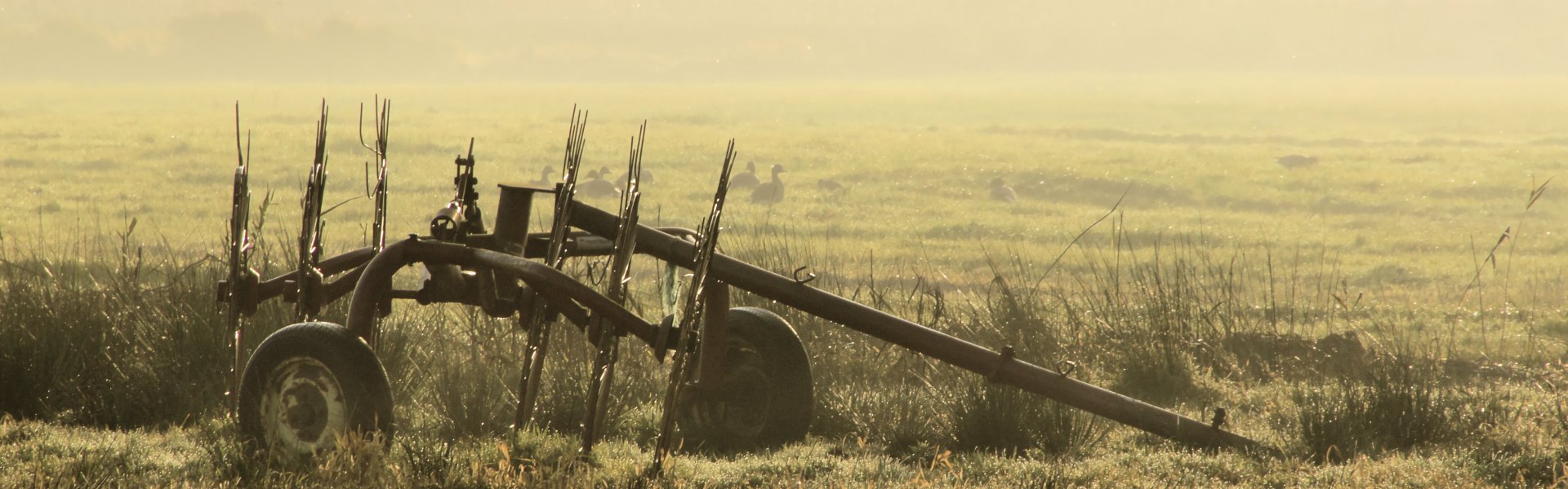 Landbouwwerktuig in een weiland, foto door Sytze Herder